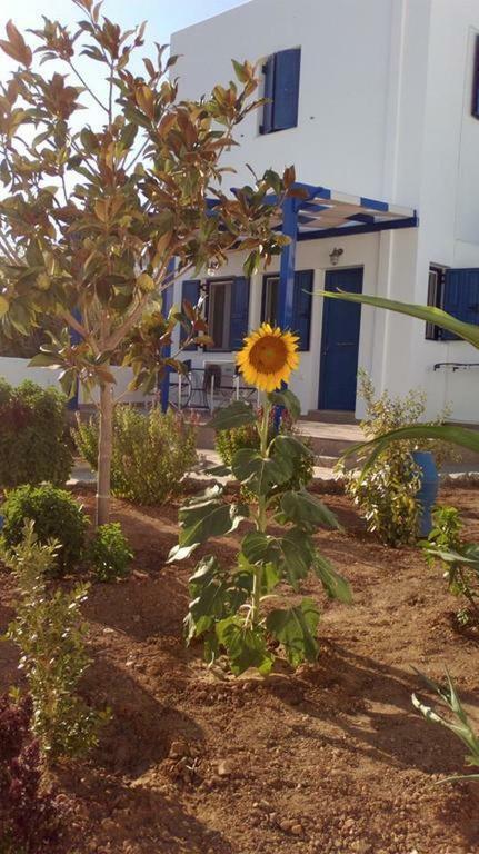 Ninemia Studios Serifos Town Exterior photo